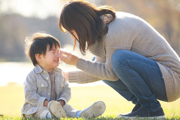 How to Use the Feelings Wheel to Build Your Child’s Emotional Vocabulary