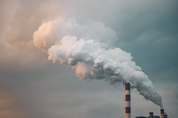 Air Pollution Linked to Increased Dementia Risk: Key Findings from a Global Study
