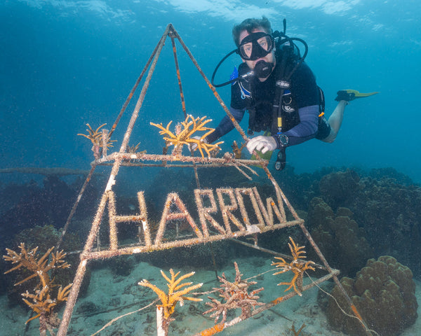Building Bridges for Marine Conservation: A Harrow Bangkok & Global Reef Partnership