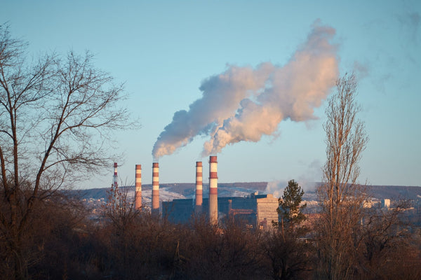 Education in the Anthropocene