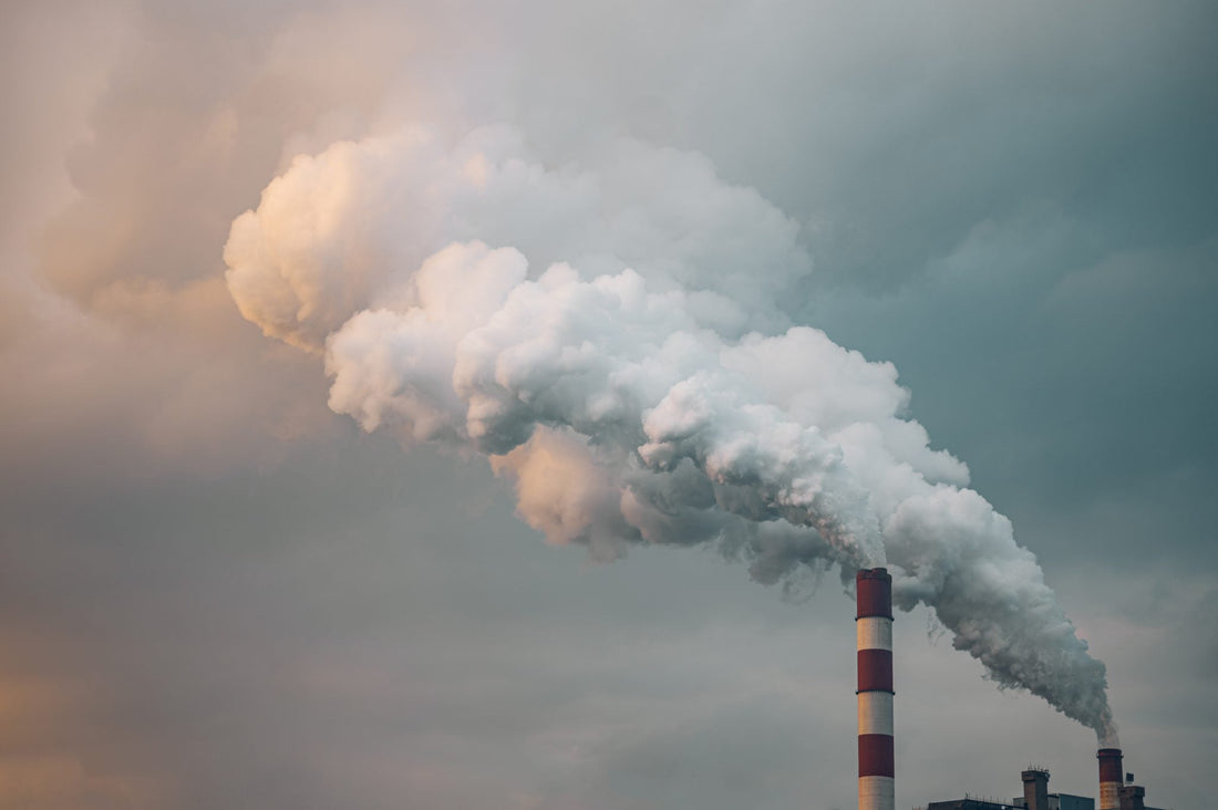 Air Pollution Linked to Increased Dementia Risk: Key Findings from a Global Study