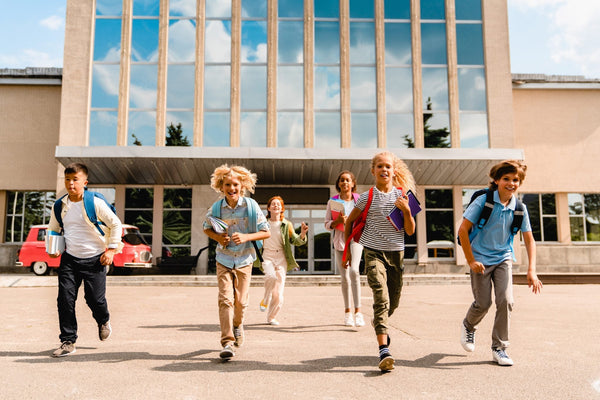 Approaches to Student Well-being and Mental Health