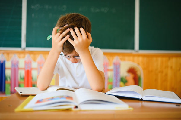 Fostering Resilience in Students