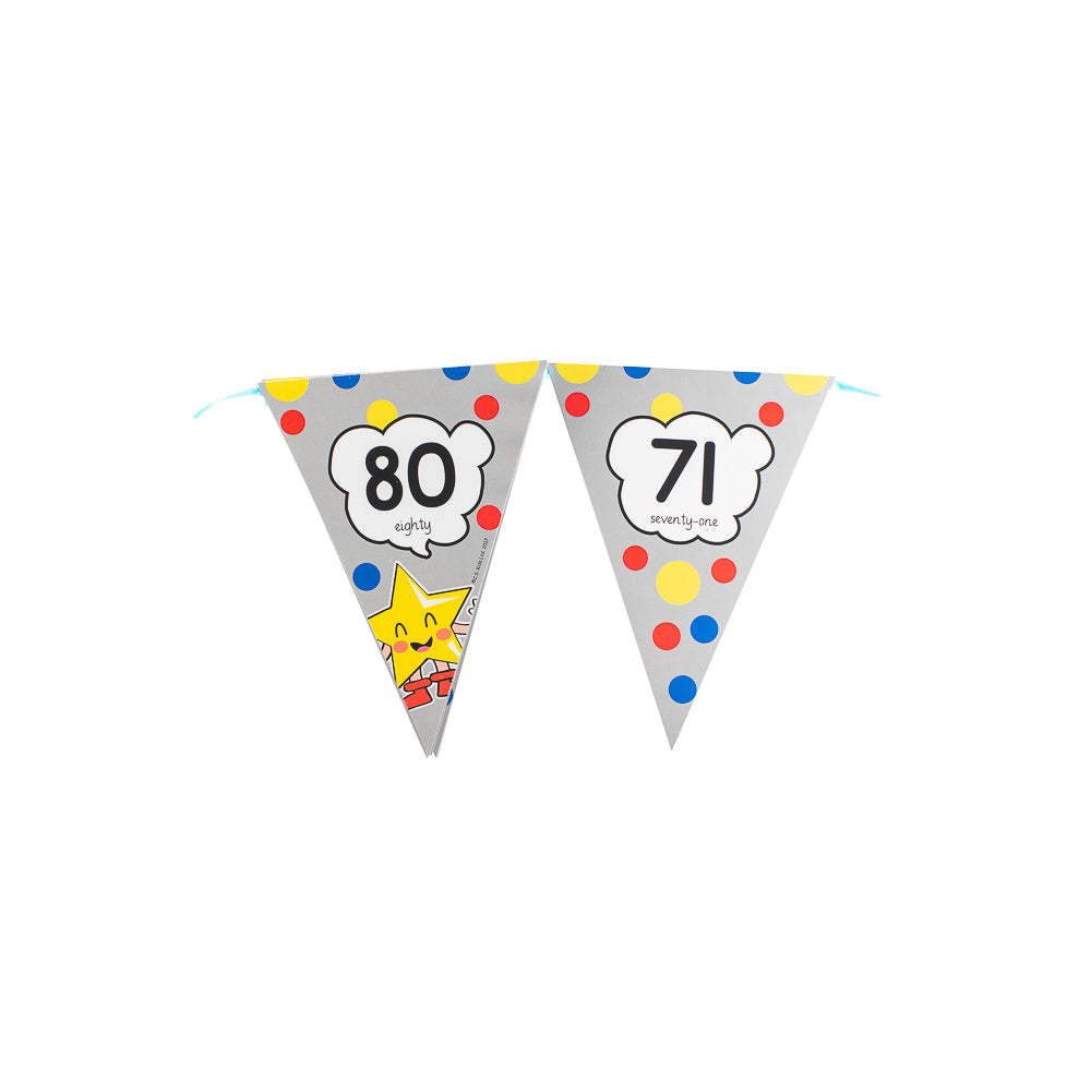 Decor Set Banner - 0-100 Bunting (With a roll of ribbon)