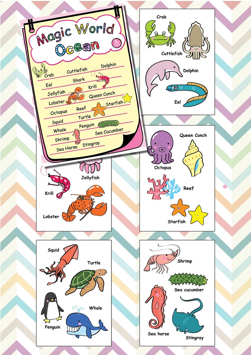 Magic World Ocean Cards (Pack of 5 cards with 1 FREE Water Brush Pen)